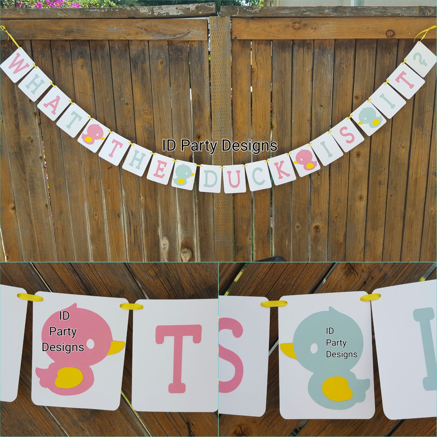 WHAT the DUCK Is It GENDER Reveal Waddle It Be