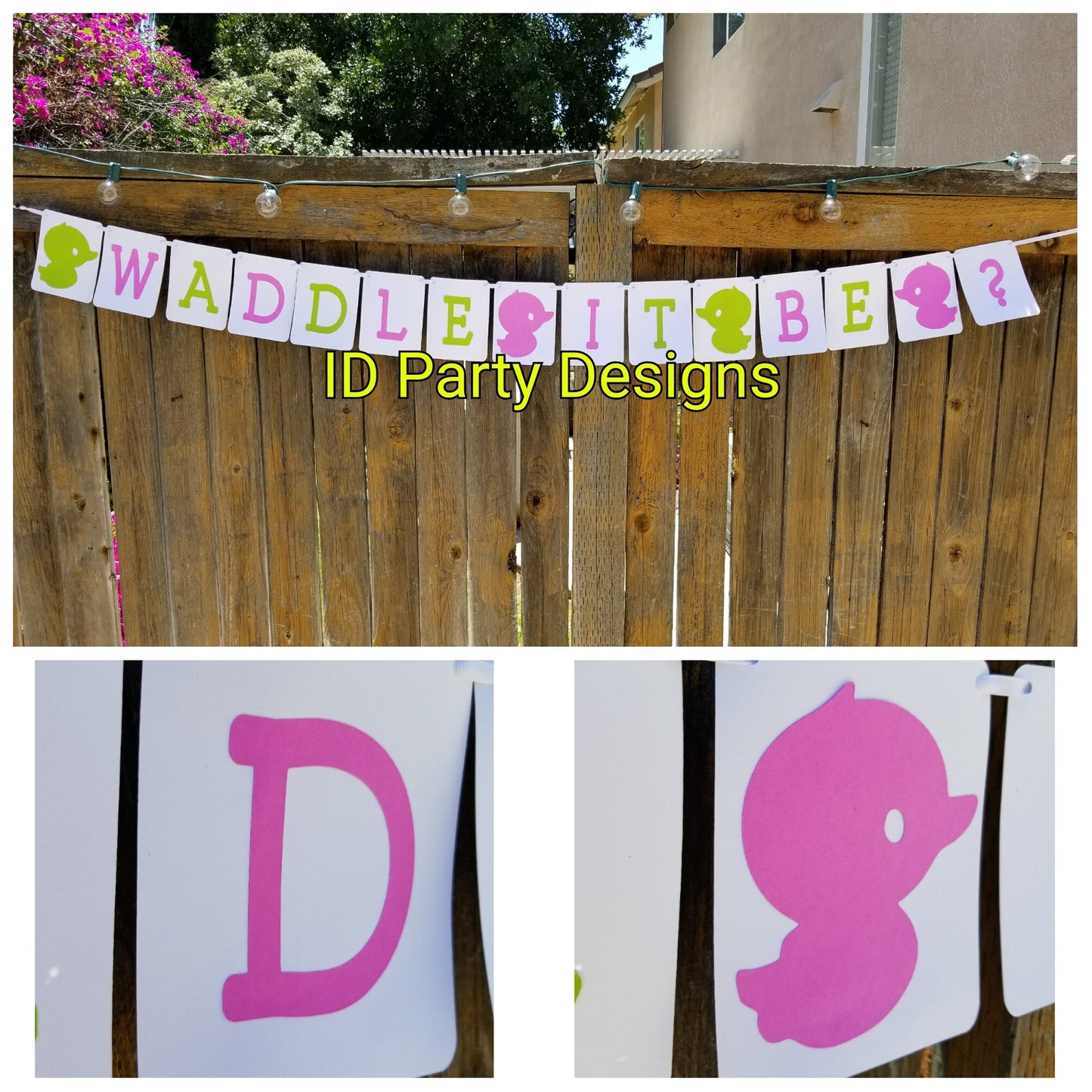 WHAT the DUCK Is It GENDER Reveal Waddle It Be