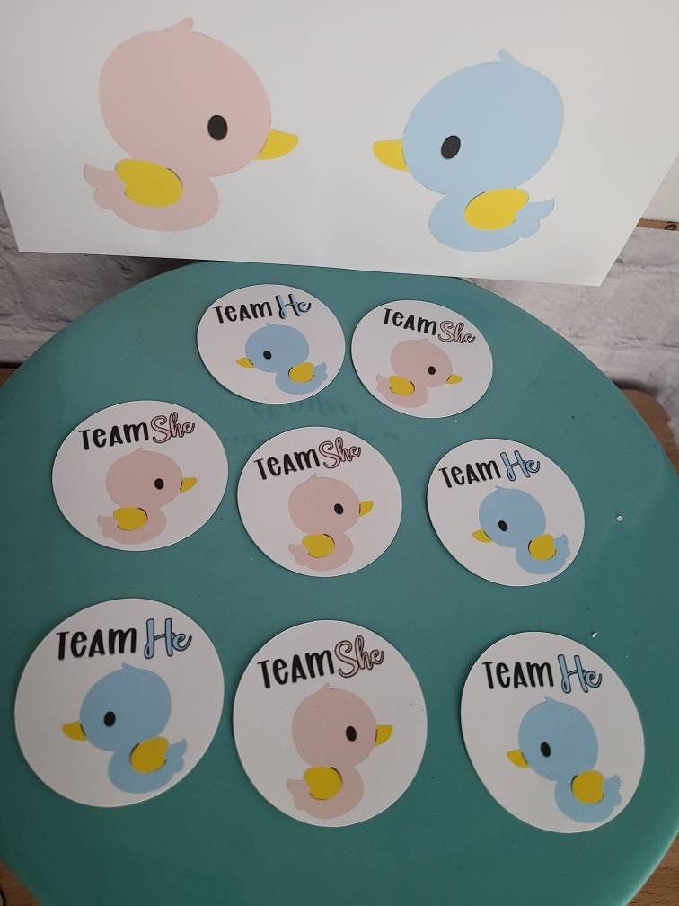 WHAT THE DUCK Is It? Gender Reveal Centerpiece Cake Topper Banner Stickers Game